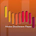 Download Adobe Shockwave Player 12.1.1.151 For Windows Free