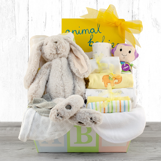Welcome Home Baby Medium Gift Basket