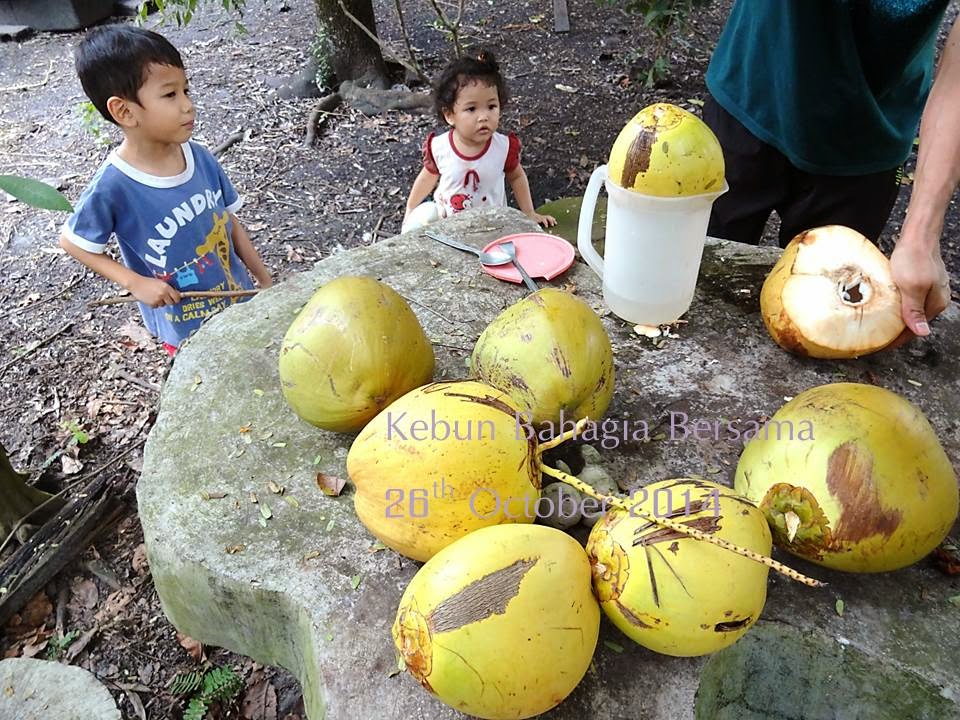 Kebun Bahagia Bersama: Rezeki Awal Muharram