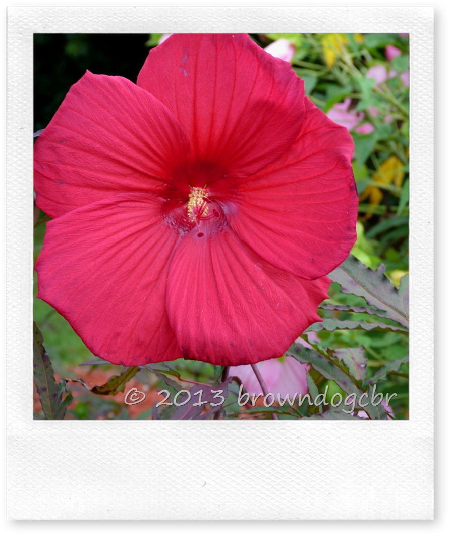 P1250186