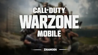 Call of Duty Warzone Mobile Alpha Closed [Release Soon]