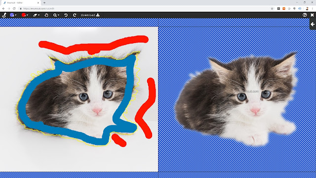 [ Enumcut ]  Pet (Baby cat) Photo - Remove Background From Image & change color (Example)