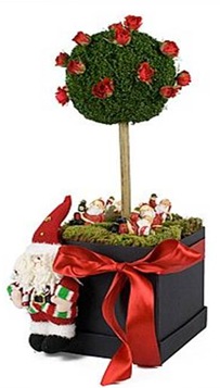 Casa de Valentina - Flora Flores - prasente de Natal