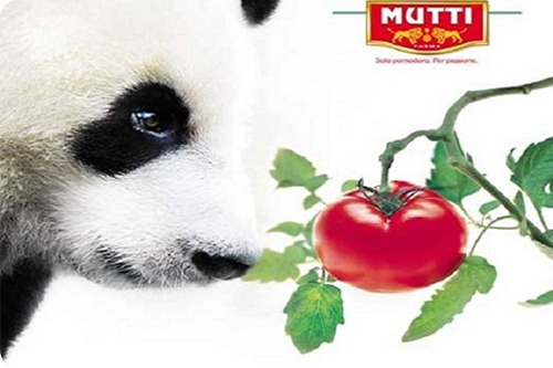 Mutti_Panda_natura_275x402.indd