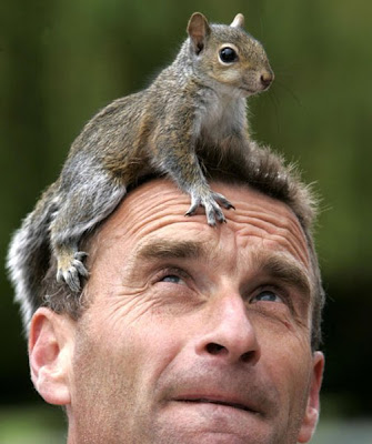 Squirrel+and+man