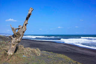 pantai-goa-cemara-jogja