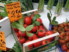 Italy Blog Shots 009