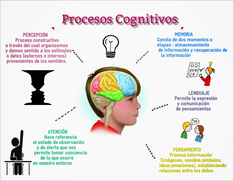 TEORÍA DE LA EDUCACIÓN TEORÍA COGNITIVA Y DE CONSTRUCCIÓN