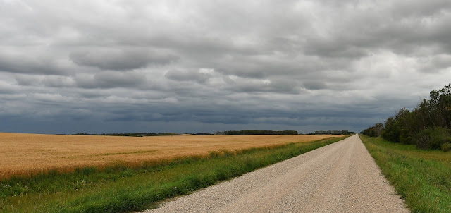 Storm over prairie field near Trans Canada Trail.