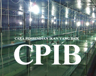 CARA PEMBENIHAN IKAN YANG BAIK (CPIB)