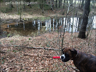 Amy am kleinen See im Wald