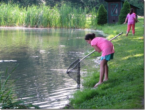 IMG_0307 (640x480)