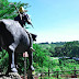 Gap Orchard Resort