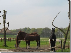 Heerlijkheid Marienwaerdt