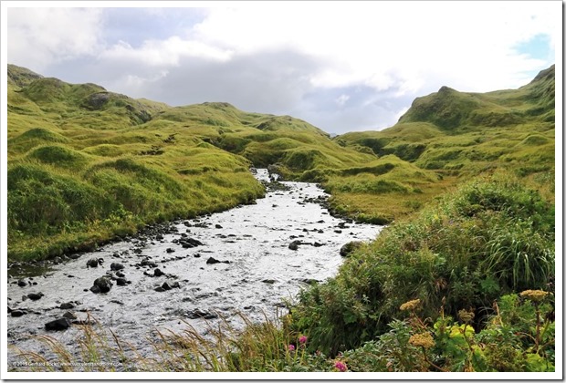 150908_Adak_FingerBay_top_of_creek2_WM