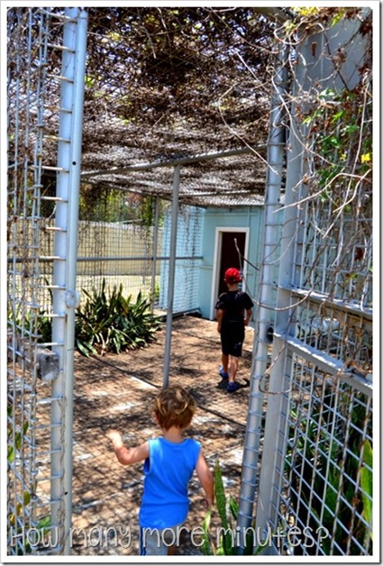 Fannie Bay Gaol in Darwin | How Many More Minutes?