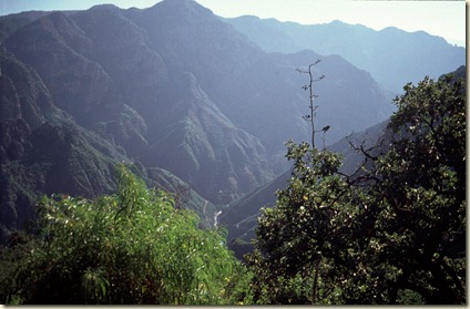 Barranca-B
