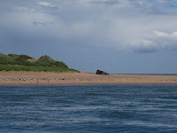 Ythan Estuary