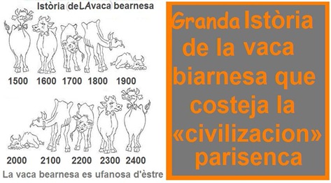 Istòria de la vaca bearnesa quora encontra la franca