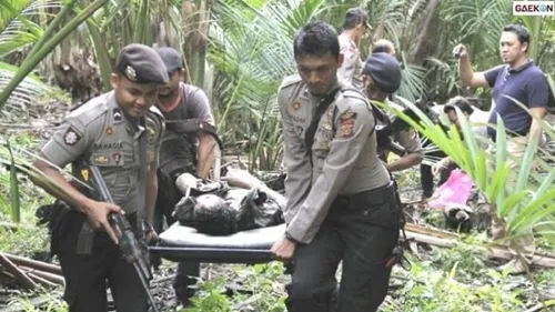 Anggota KKB yang Tewas Tertembak di Distrik Gome Bertambah Jadi 9 Orang