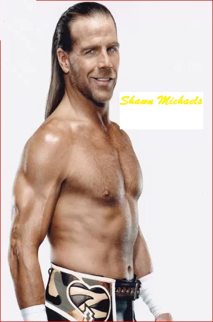 Shawn Michaels HD Wallpaper 2560x1440
