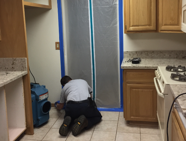 Mold Inspection in Weston Florida