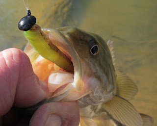 patuxent smallmouth