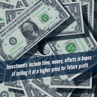 The Art of Investing: Basics for Beginners The White Insights