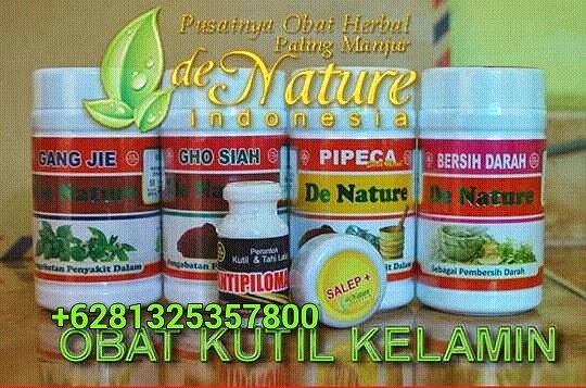 KLINIK OBAT KUTIL KELAMIN HERBAL: Cara Menghilangkan Kutil 