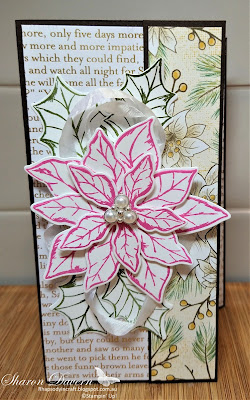 Rhapsody in Craft, Poinsettia Petals, Magenta Madness, Poinsettia Place, Wonder of the season, Poinsettia Dies, Christmas Card, #colourcreationsshowcase, #loveitchopit, Stampin' Up, Aug-Dec 2020 Mini