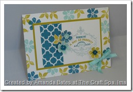 Blooming Marvellous, The Craft Spa, SAB 2013, Stampin Up, SU   (12)