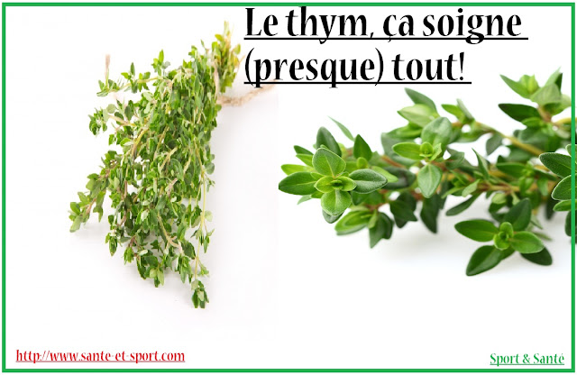 thym-soigne-tout-bienfaits