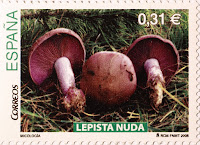 LEPISTA NUDA