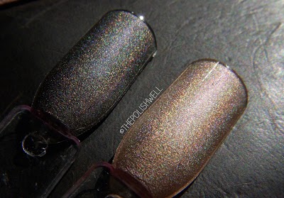Kiko: Lavish Oriental LE
