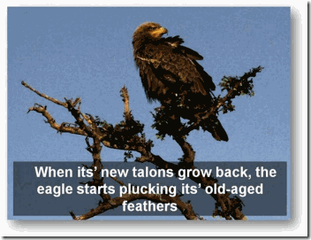 clip_image010
