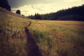 Wandern Rogla, Slowenien