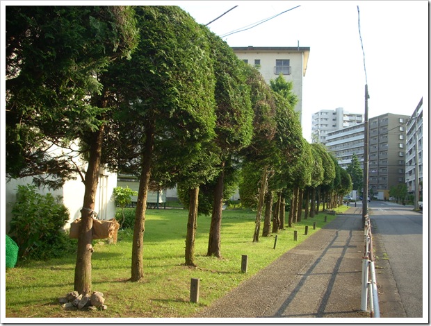 20120527_164312