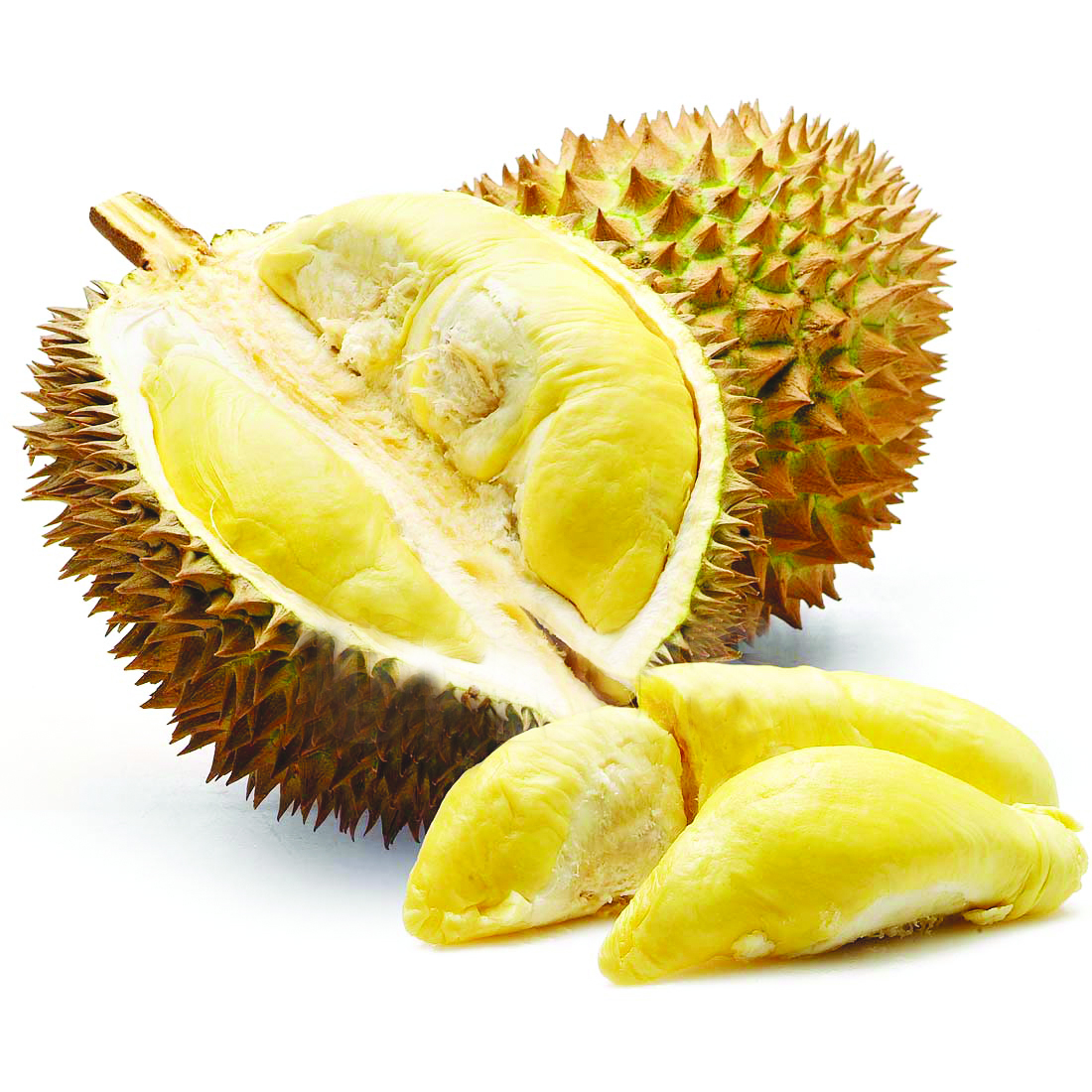 Manfaat Buah  Durian  Ora Usom