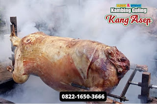 Jual Kambing Guling Cimahi Utuh Per Ekor Jual Kambing Guling Cimahi Utuh,Jual Kambing Guling Cimahi,Jual Kambing Guling,Kambing Guling Cimahi,Kambing Guling,