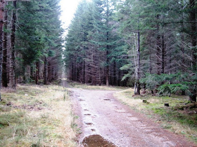 Walk along the path towards Ballater, Deeside