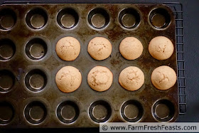 photo of mini muffin pan with 8 healthy apple cider donuts in pan