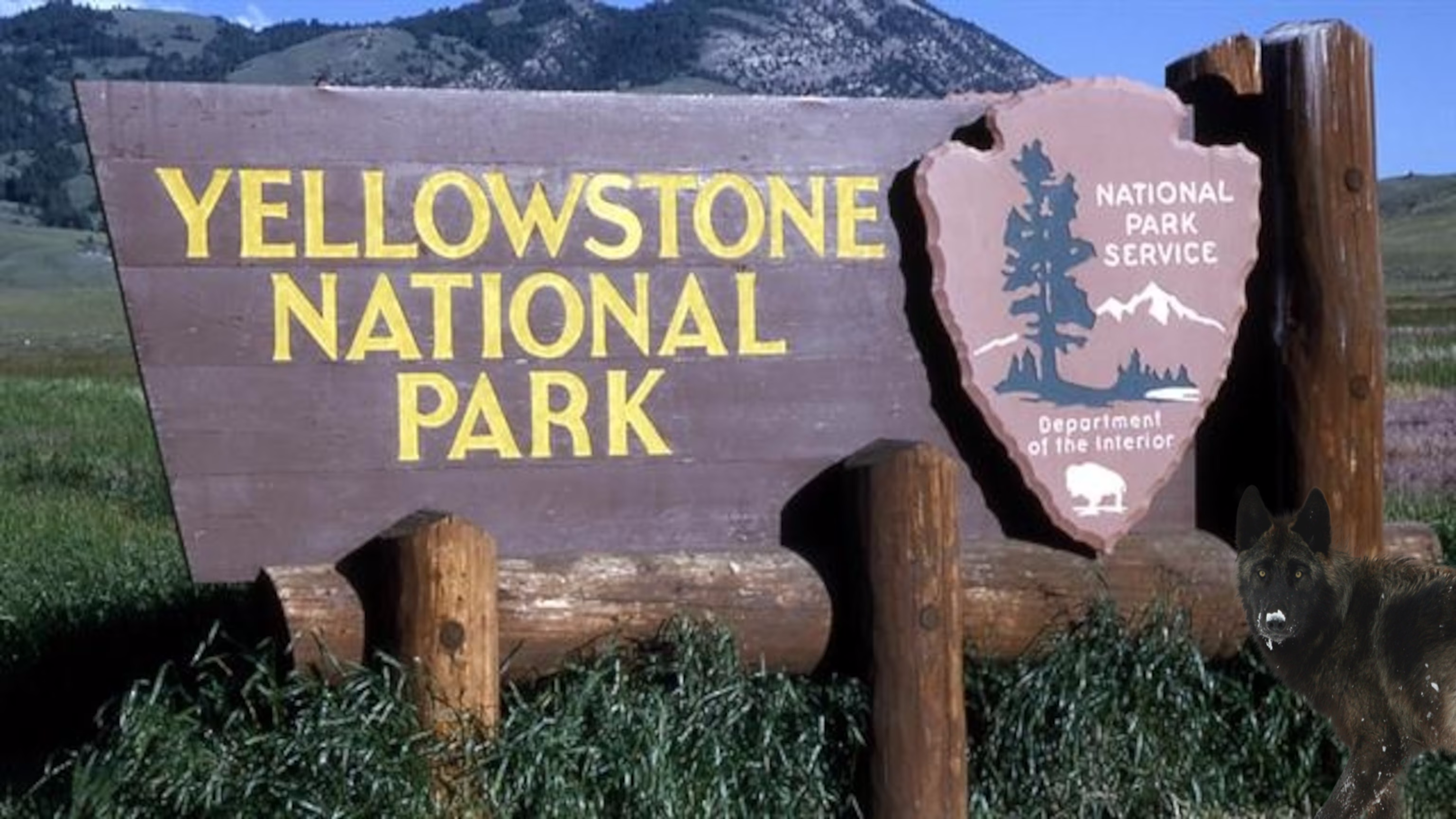 Parque Nacional de Yellowstone