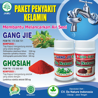  Obat Sipilis dan Kencing Nanah Ampuh