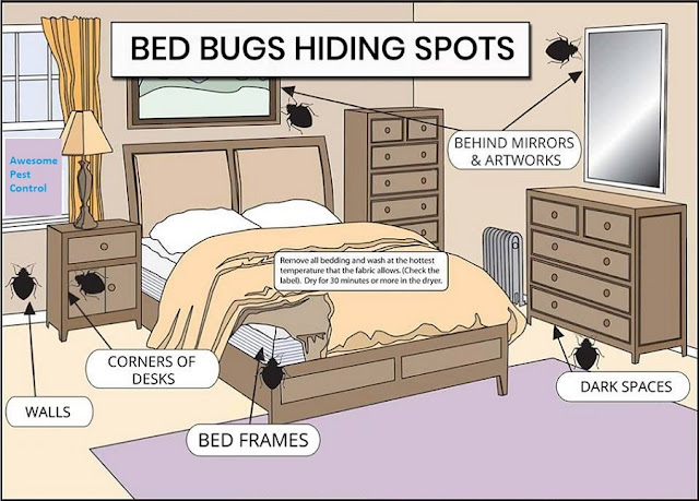 Bed Bugs Control Services Awesomepestcontrol Awesomepest