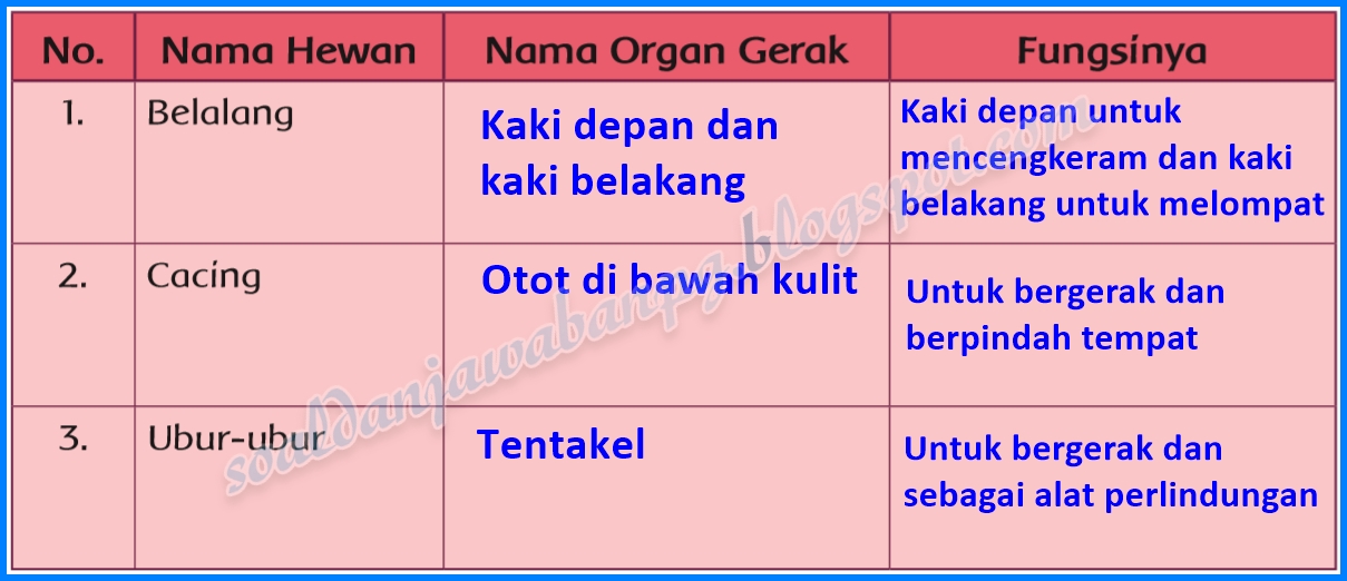 Lengkap Kunci Jawaban Kelas 5 Tema 1 Subtema 1 