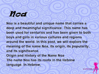 meaning of the name "Noa"