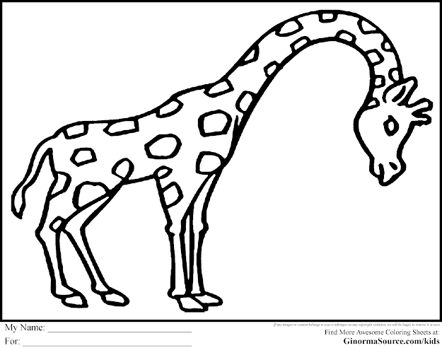 Coloring Pages Of Animals Free Of Animals