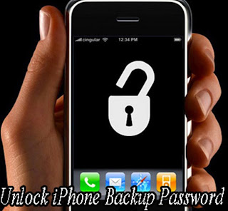 unlock iPhone backup password