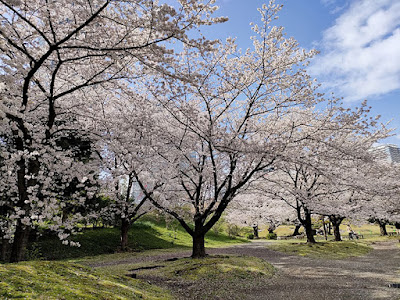 旧芝離宮恩賜庭園