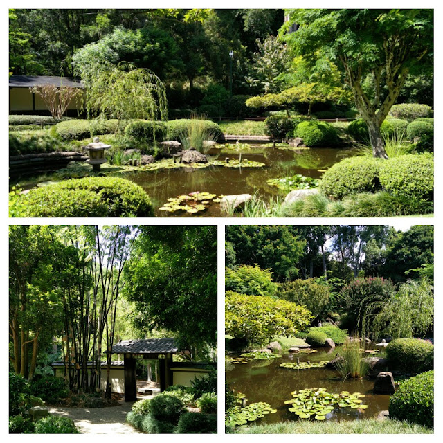 Photo du jardin japonais jardin botanique Coot-tha Brisbane Australie